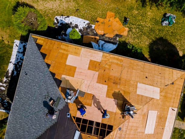 Best Storm Damage Roof Repair  in Hebron, KY