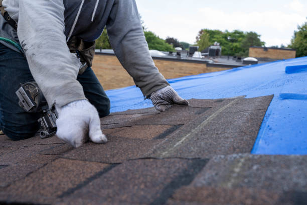 Best Commercial Roofing Services  in Hebron, KY
